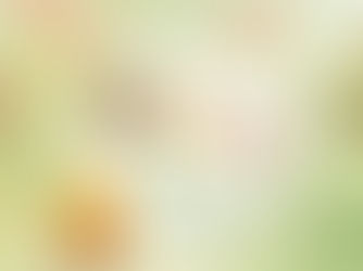 柴火食光 DIY（2025.11）