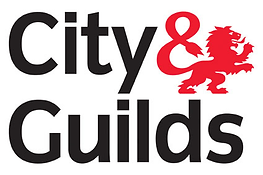 city and guilds hright home electrics