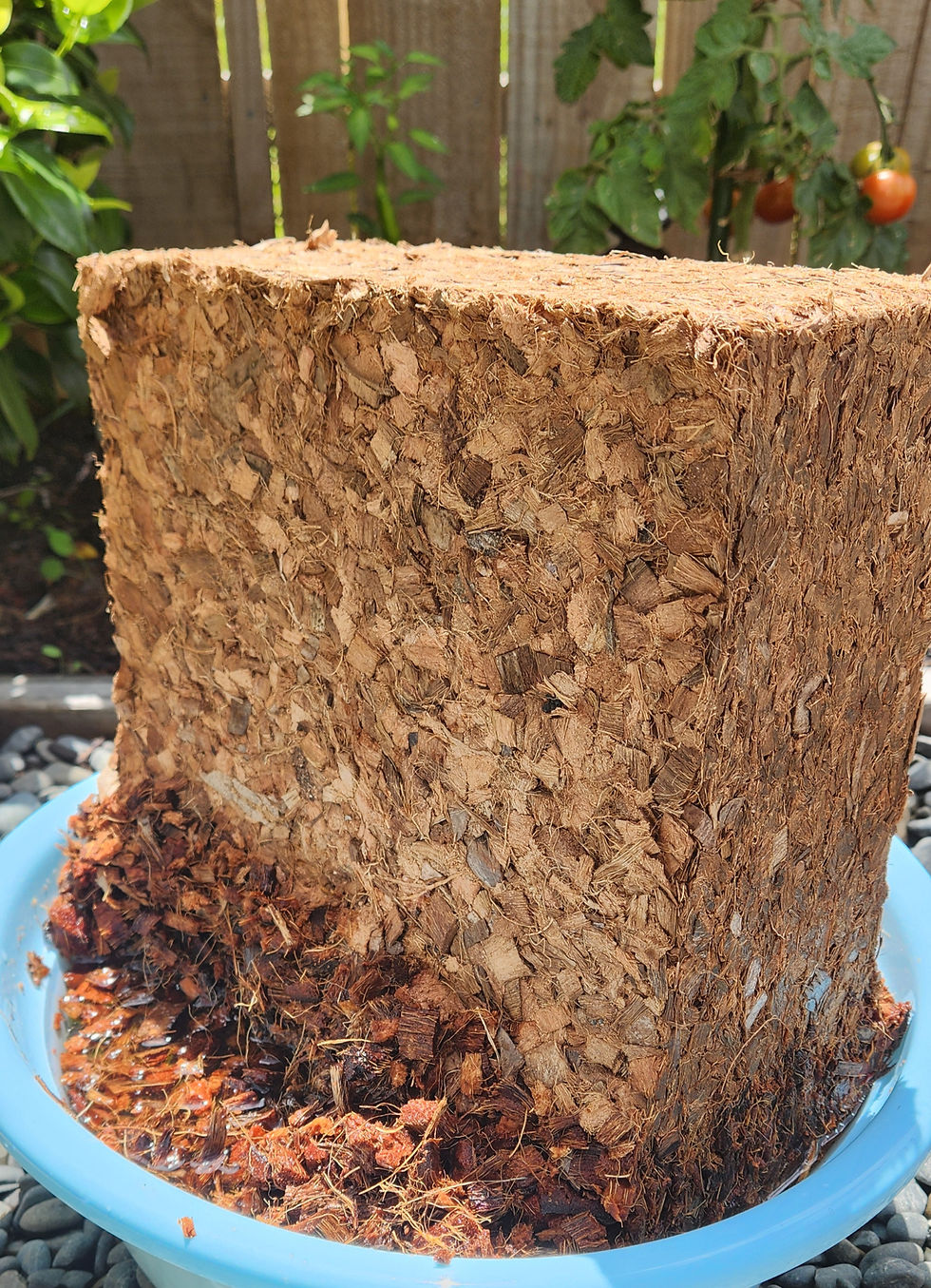 Thumbnail: Husk Chips 100% - 4.5kg Compressed Block