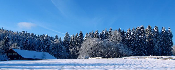 Winter Allgäu
