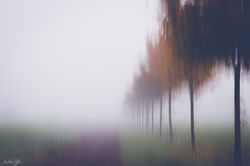 Foto by Michael Offen-2449-2