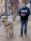 Drugo y Marcel.jpg