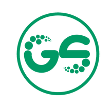 Logo GSA
