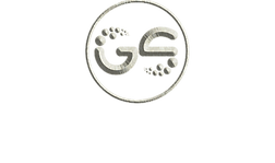 Gaz Systèmes 
