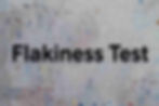 Flakiness Test