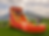 Generated Image March 29, 2026 - 7_06PM.png