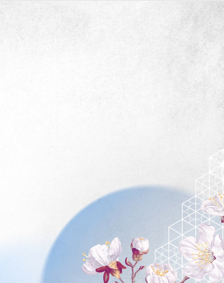 template Suntory.png