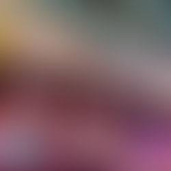 2020: The Year in Tiers - The Best