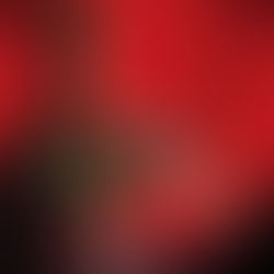 Every Nightmare on Elm Street Ranked from Best to Worst