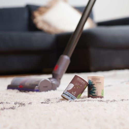 Poudre aspirateur