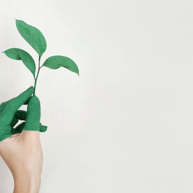 IMPACTOS AMBIENTAIS E GREENWASHING 