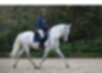 Riding lessons and livery, House Stables