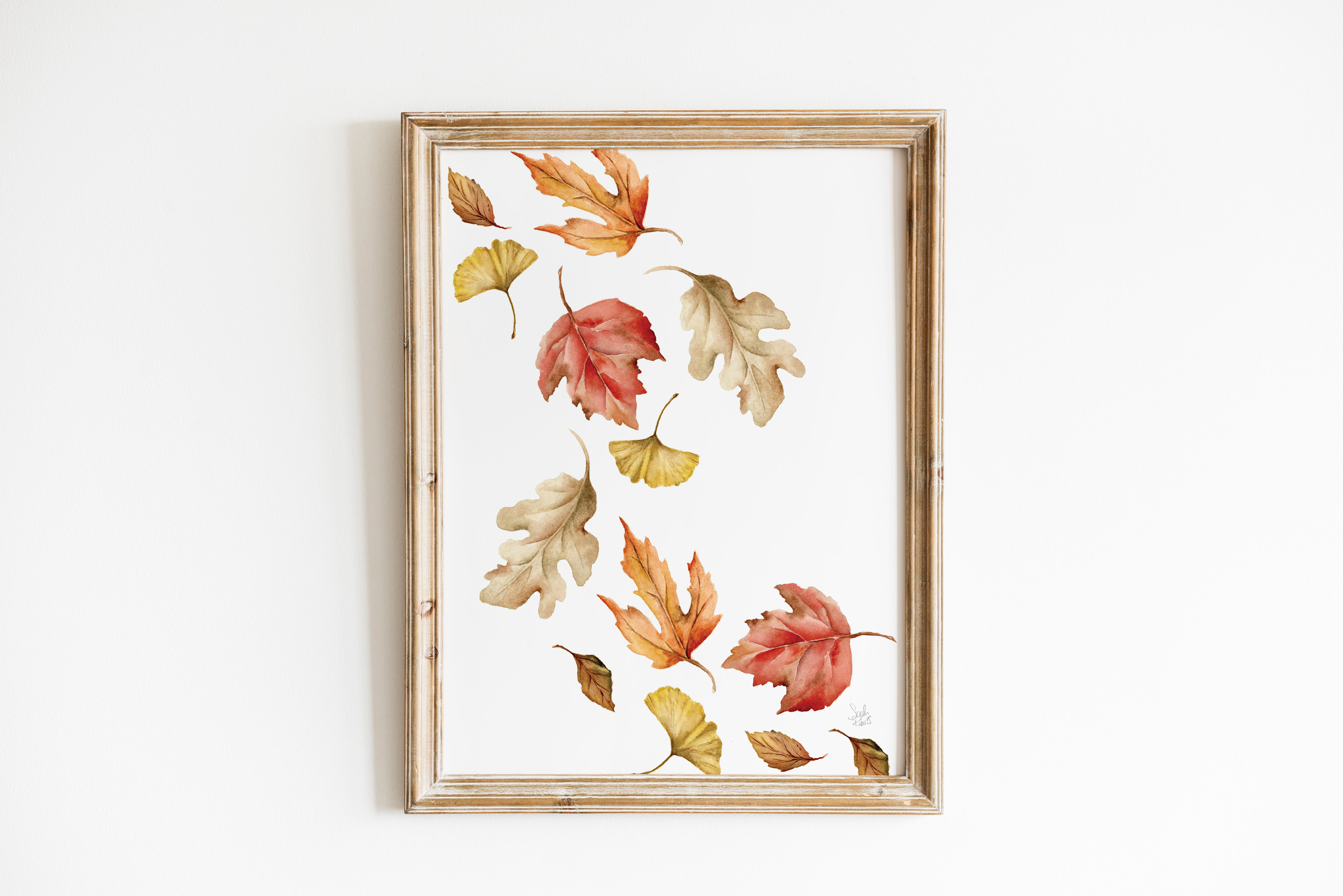 Falling Autumn Leaves