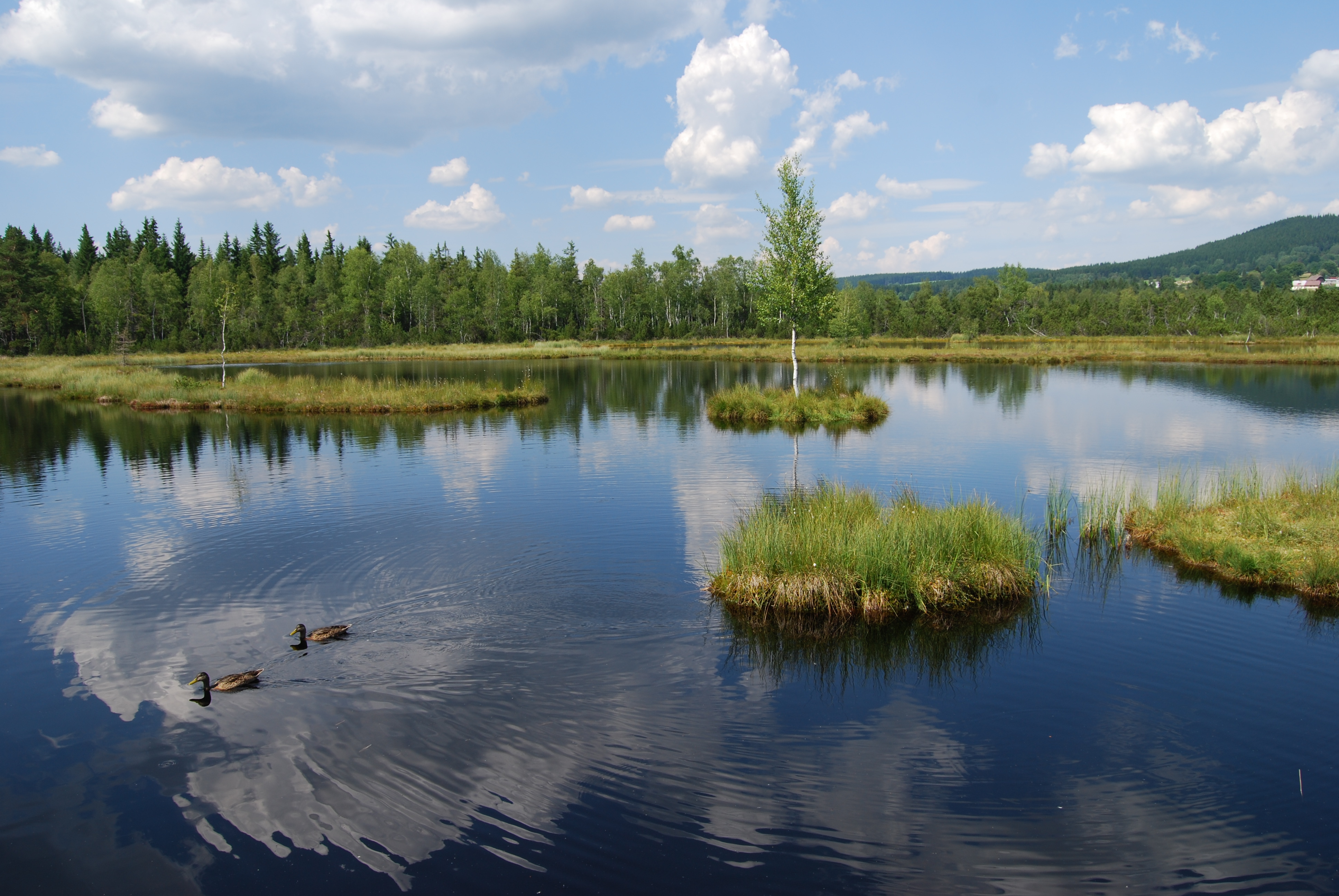 Chalupská slať (40 km)