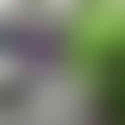 Grand Opening of Children's Art Classes in West Hempstead, NY