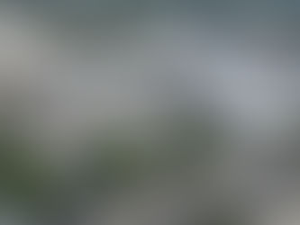 Milbrook Properties- March 2026 Leasing Updates