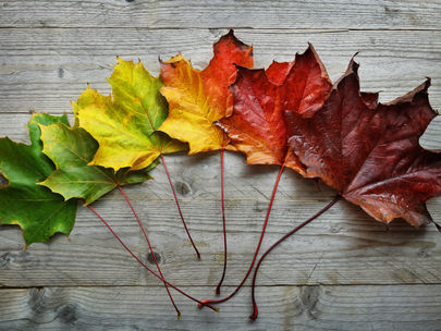 A well-prepared property is better equipped to handle seasonal challenges while maintaining the high standards that tenants and visitors expect.
