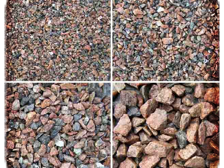 What Kills Your Expensive and Cherished Xerophytes – the Silent Killer in your pots.