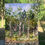 Thumbnail: Dissected Forest