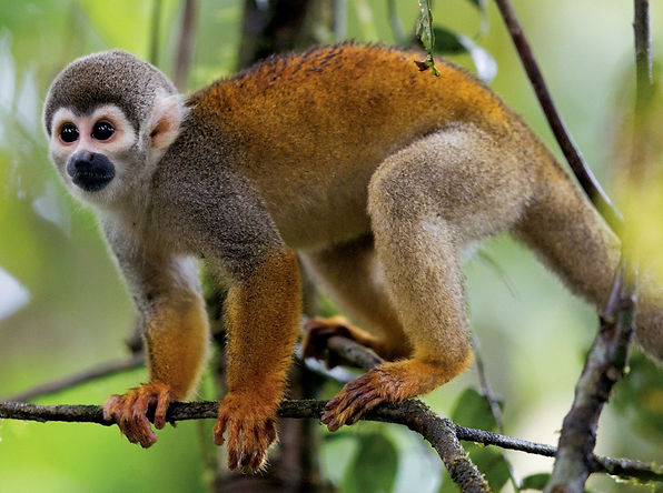 YASUNI3.jpg