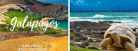 GALÁPAGOS.png