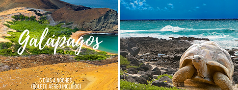 GALÁPAGOS.png