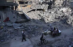 3 Gaza 3.11.23 asino.jpg