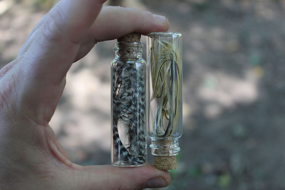 Thumbnail: Royal Creation Kit