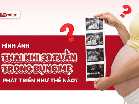 Hinh anh thai nhi 31 tuan trong bung me phat trien nhu the nao