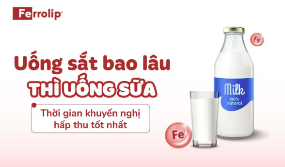 Uong sat bao lau thi uong sua? Nen cach nhau bao lau de hap thu tot nhat?