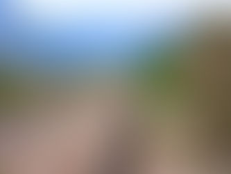 Ferrovia Valsugana, le corse sostituite con autobus dal 27 novembre al 4 dicembre