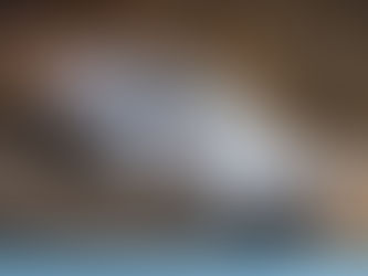 Motori. Todeschini si ripete al Delta Winter