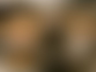 Muse. Una silenziosa presenza nei nostri boschi: il gatto selvatico