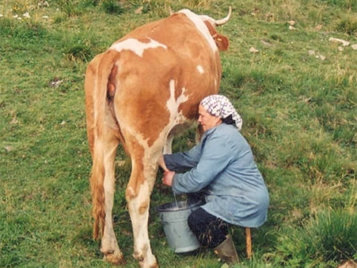 Telve: visita guidata alla mostra fotografica "Donne e montagna, ieri e oggi"