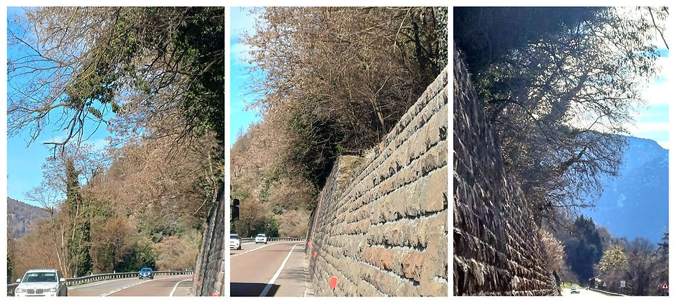 SS47 Valsugana. Da lunedì 23 febbraio chiusure temporanee per taglio piante pericolanti