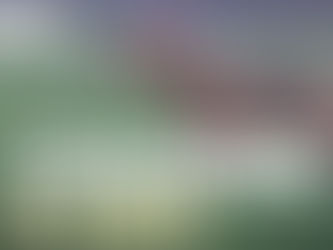 Vattaro. Arriva l'incontro per "Conoscere il lupo"