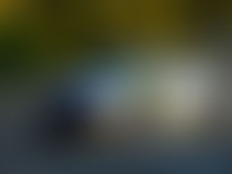 Motori. La Scuderia Pintarally Motorsport al 32° Rally Città di Schio