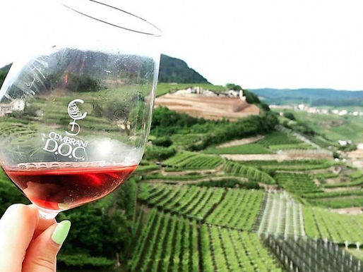 Sabato 1 agosto c'è "Baiti en festa" in Val di Cembra