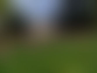 Spettacoli, fiori e novità: in Valsugana la primavera entra nel vivo