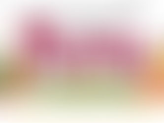 Vigolana. Il 5 maggio una giornata di solidarietà per la Pace