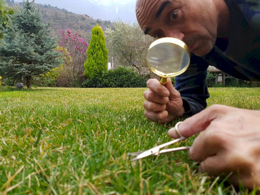 LUCIO GARDIN: «Se l'amuchina è più ricercata della grappa...»
