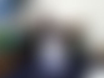 Rugby. Tre squadre riunite sotto un unico logo trentino