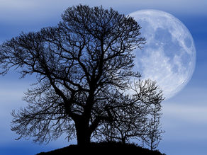 Oggi 9 marzo 2020 nel cielo c'è una super luna piena