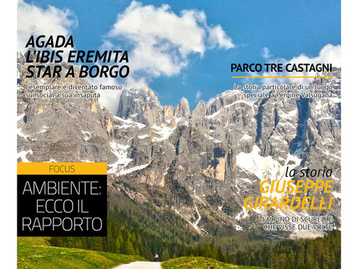 Il Cinque: nel numero di gennaio 2021 nuova veste grafica e nuovi contenuti