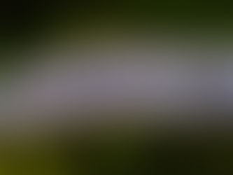 Motori. Grandi soddisfazioni al 43° Rallye San Martino di Castrozza per la Pintarally Motorsport