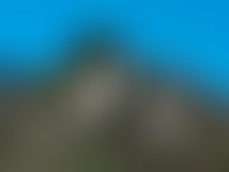 A Borgo Valsugana nasce Blooms dance studio