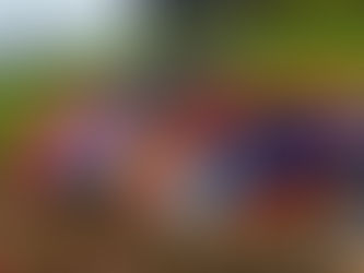 La fibra ottica è arrivata a Scurelle, Grigno, Ospedaletto e Castello Tesino