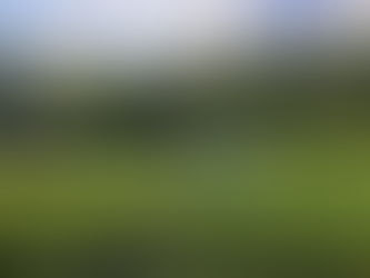 Agricoltura sostenibile sulla Vigolana: “partire dall’alleanza tra cittadini e agricoltura”