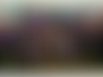 Tiro con l'arco. Sugli Arcieri di Piné piovono medaglie ai campionati provinciali