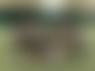 Ultimate Frisbee Trentino. Buoni risultati nei tornei indoor in vista dei campionati italiani